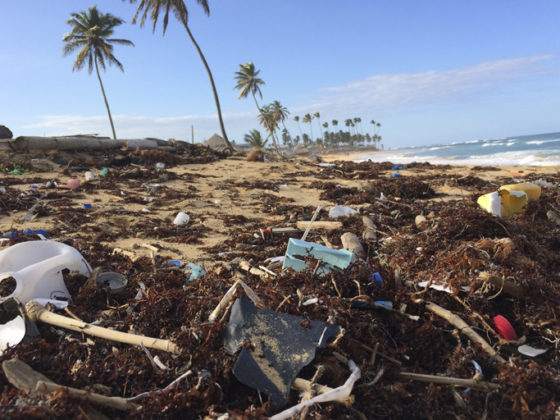 La isla del plastico